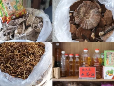 Taining Ancient City