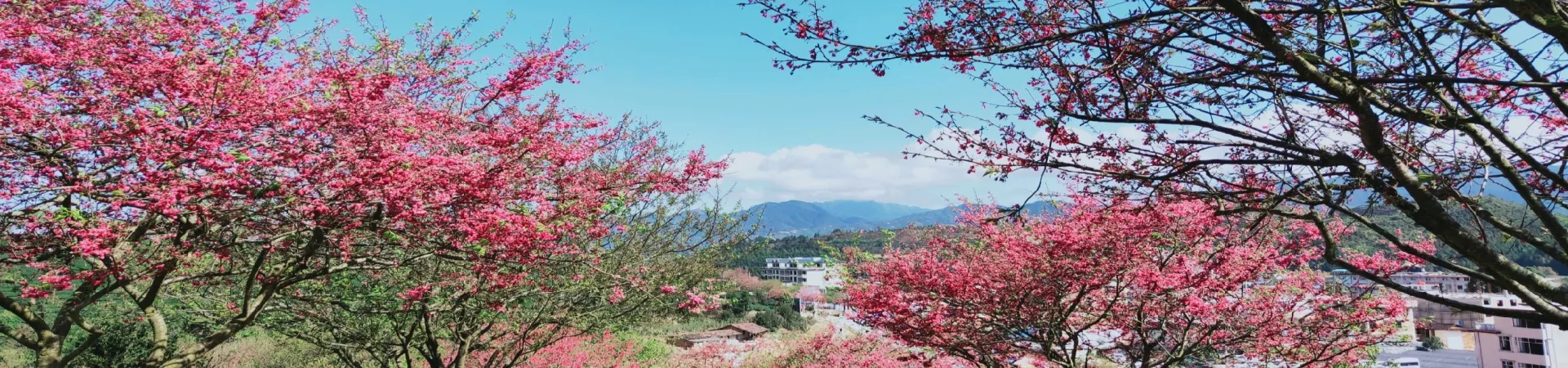 Top China Guide banner