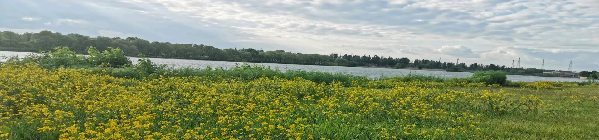 Top China Guide banner