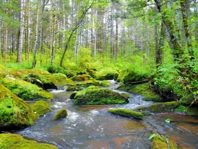 Tangwanghe Linhai Qishi Scenic Area