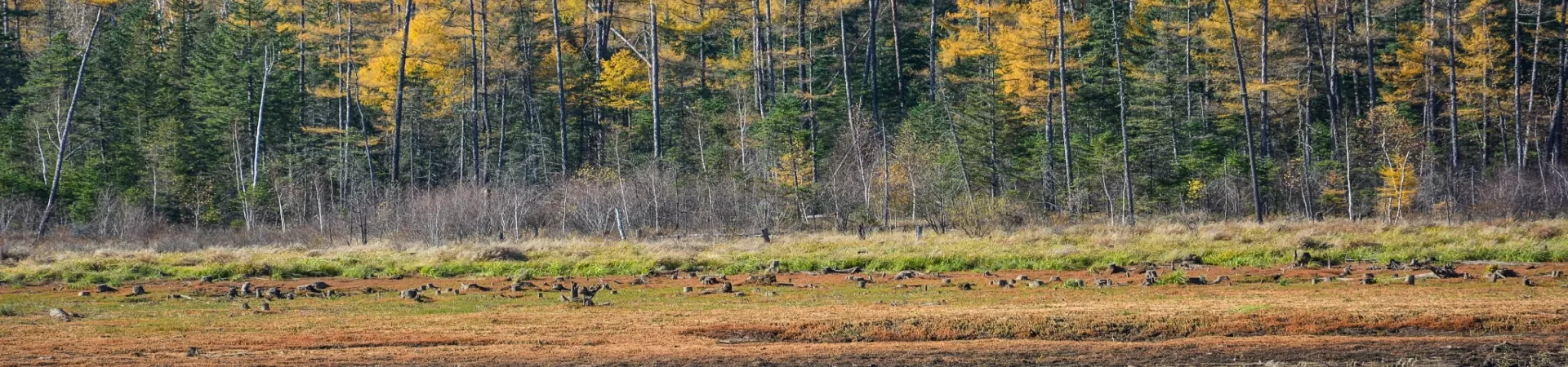 Top China Guide banner