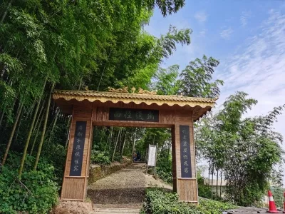 Taohua River Bamboo Sea Scenic Area