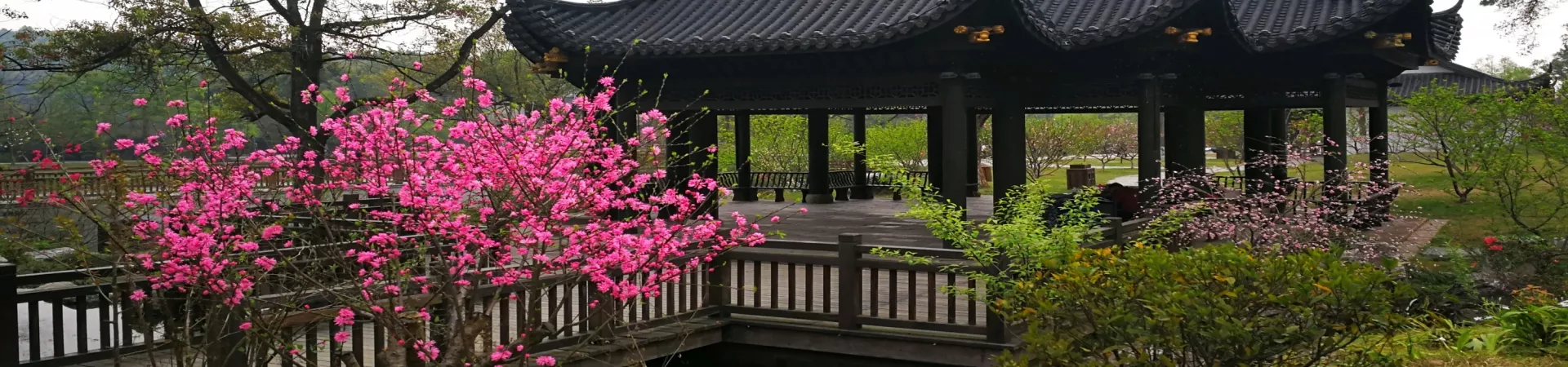 Top China Guide banner