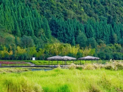 Tengchong Beihai Wetland