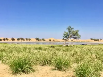 Tengger Desert Swan Lake