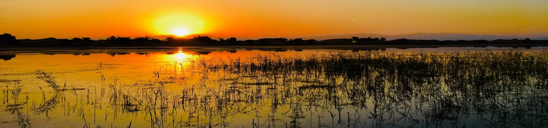 Top China Guide banner