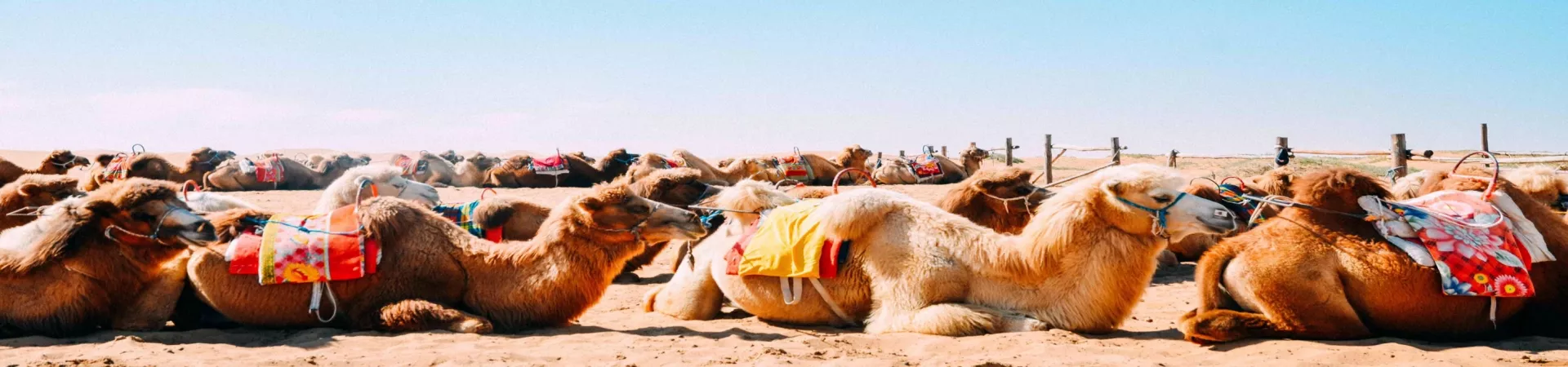 Top China Guide banner