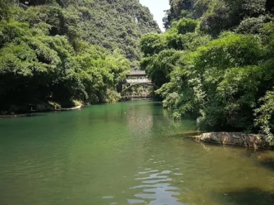 Three Gorges Bamboo Sea