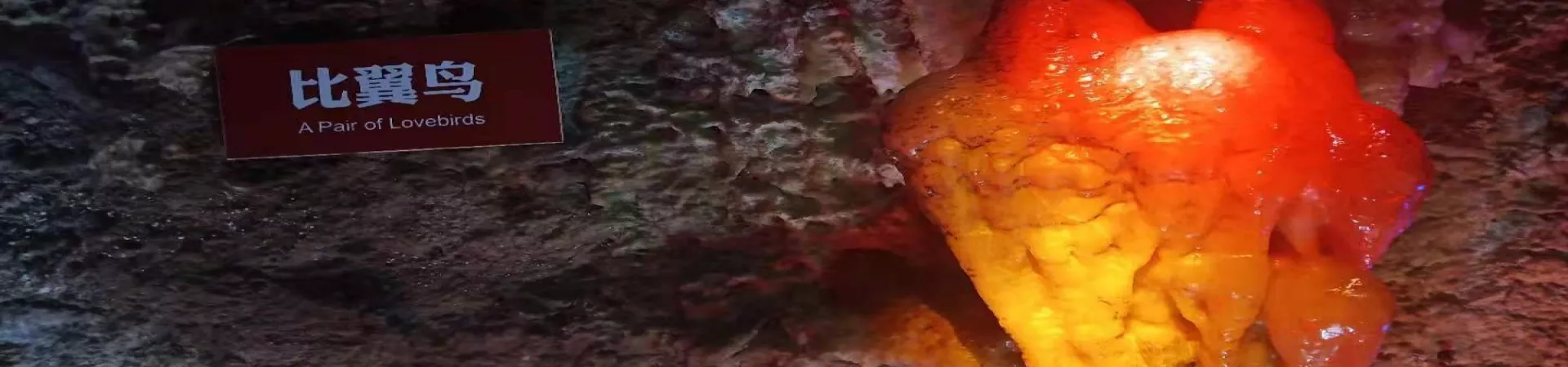 Top China Guide banner