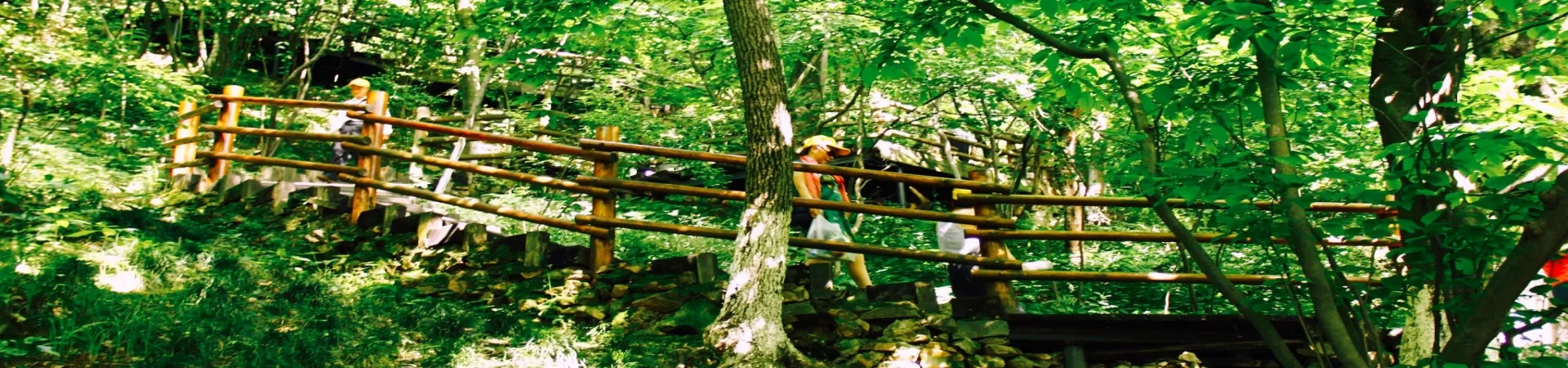 Top China Guide banner