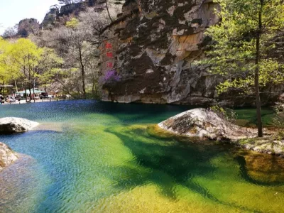 Tianqiaogou National Forest Park 