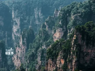 Tianzi Mountain