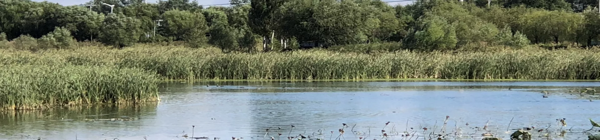 Top China Guide banner