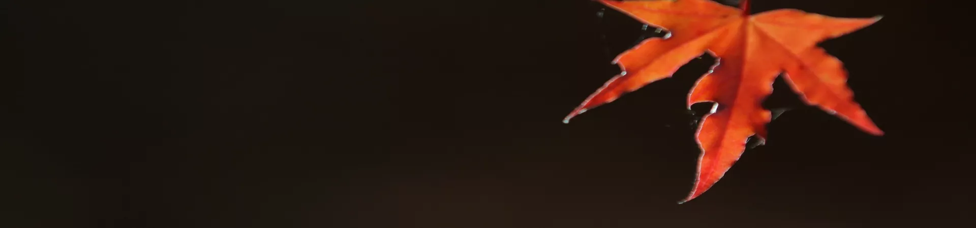 Top China Guide banner