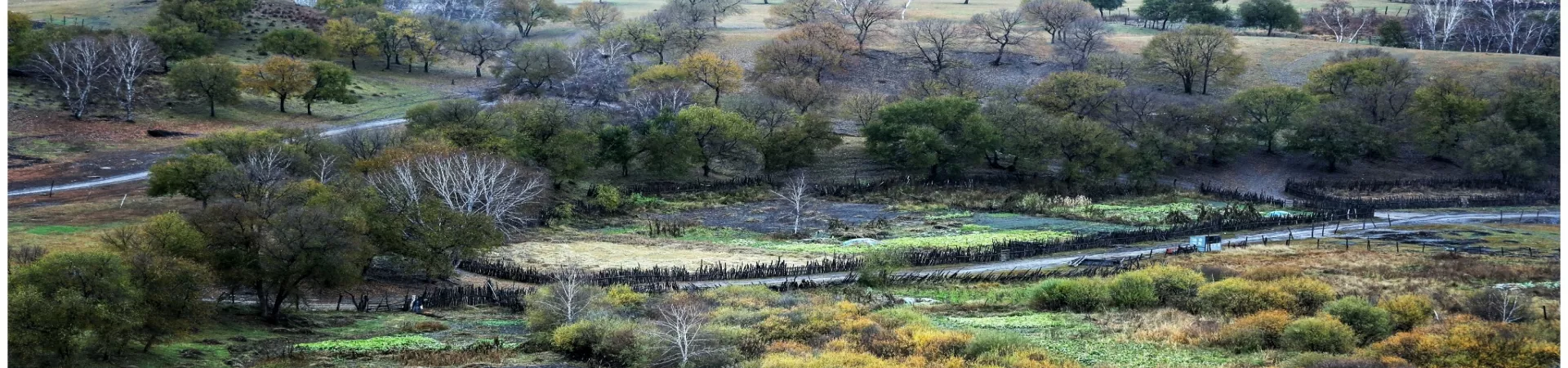 Top China Guide banner
