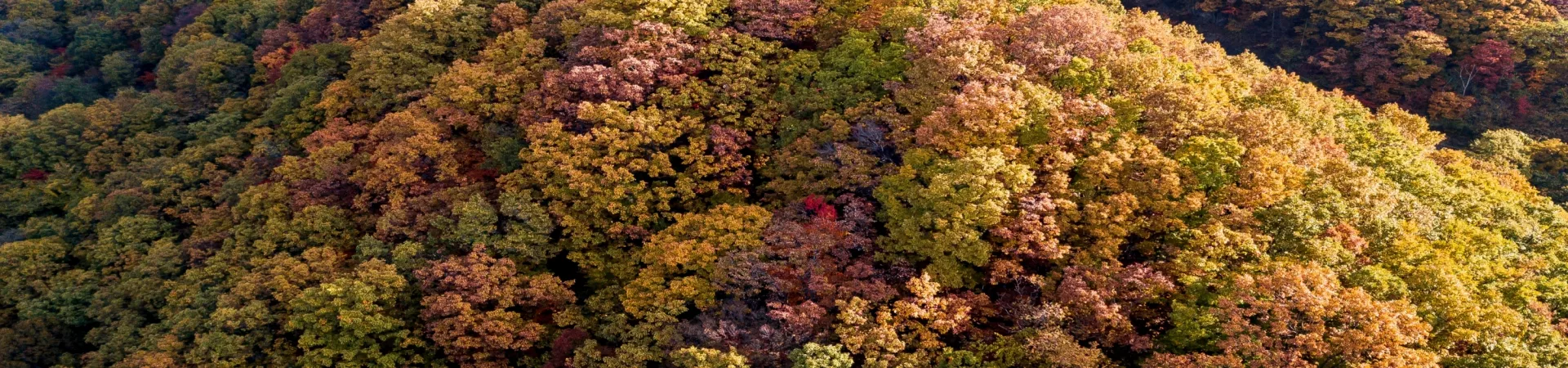 Top China Guide banner