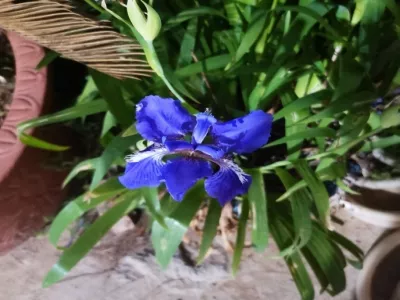 Tongshan Lake Forest Park