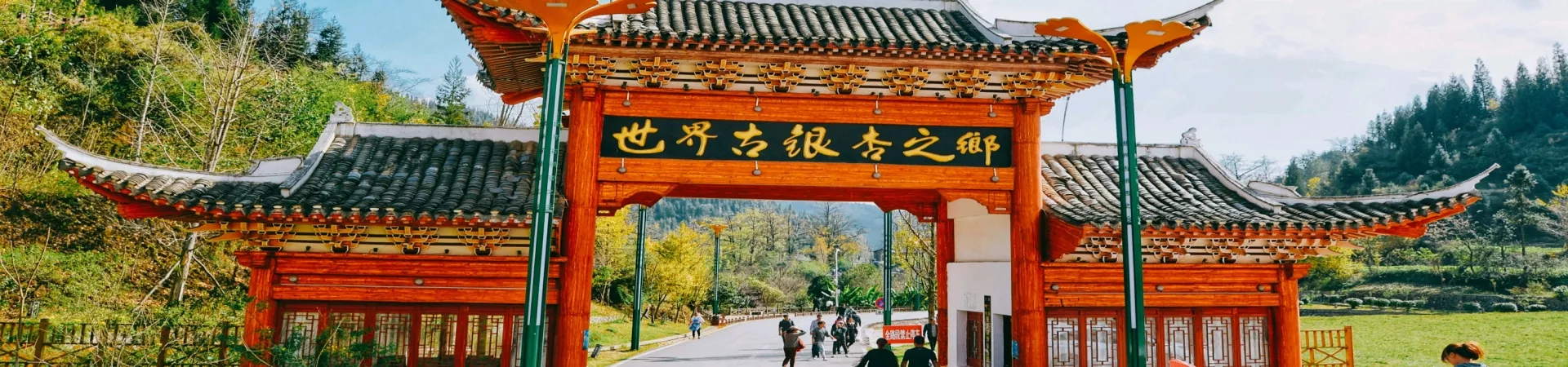 Top China Guide banner