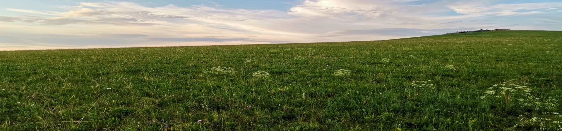Top China Guide banner