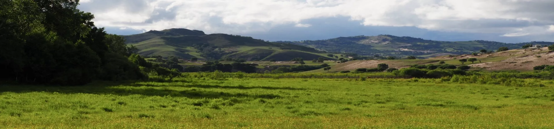 Top China Guide banner