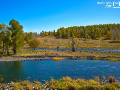 Unfrozen Riverside Scenery Park