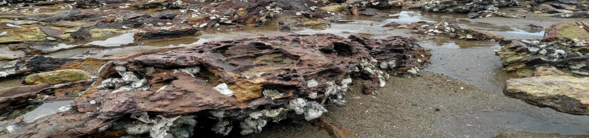 Top China Guide banner