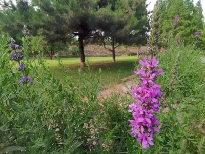 Puyang Wagong Mausoleum Shundi Palace Scenic Area