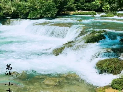 Wanfeng Forest Scenic Area