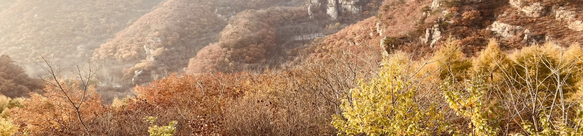 Top China Guide banner