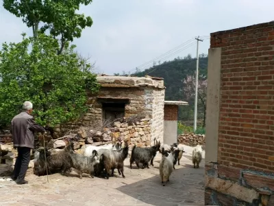 Wangnao Village