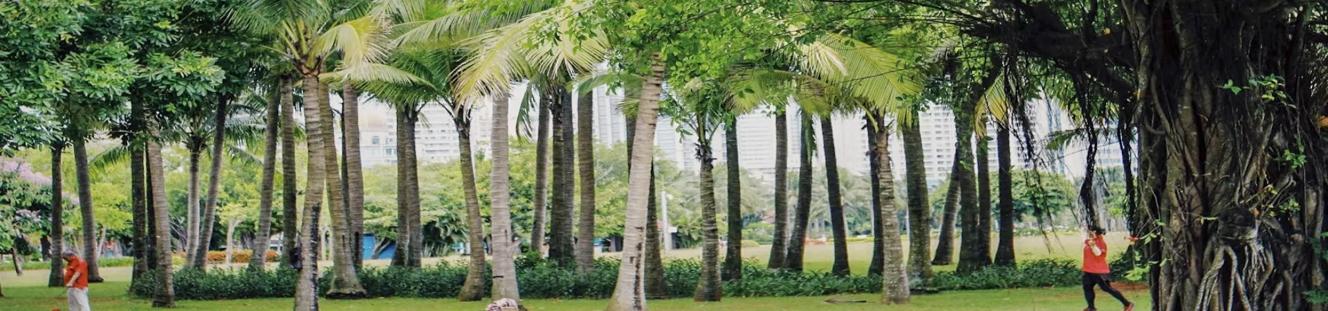 Top China Guide banner