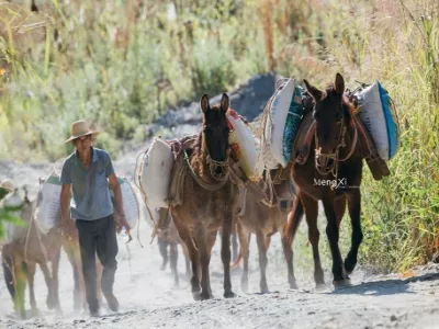 Wengding Primitive Tribe