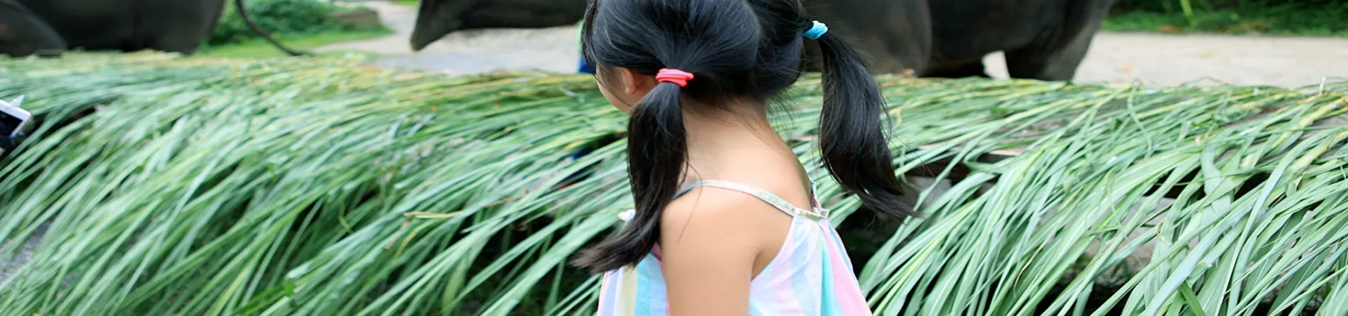 Top China Guide banner