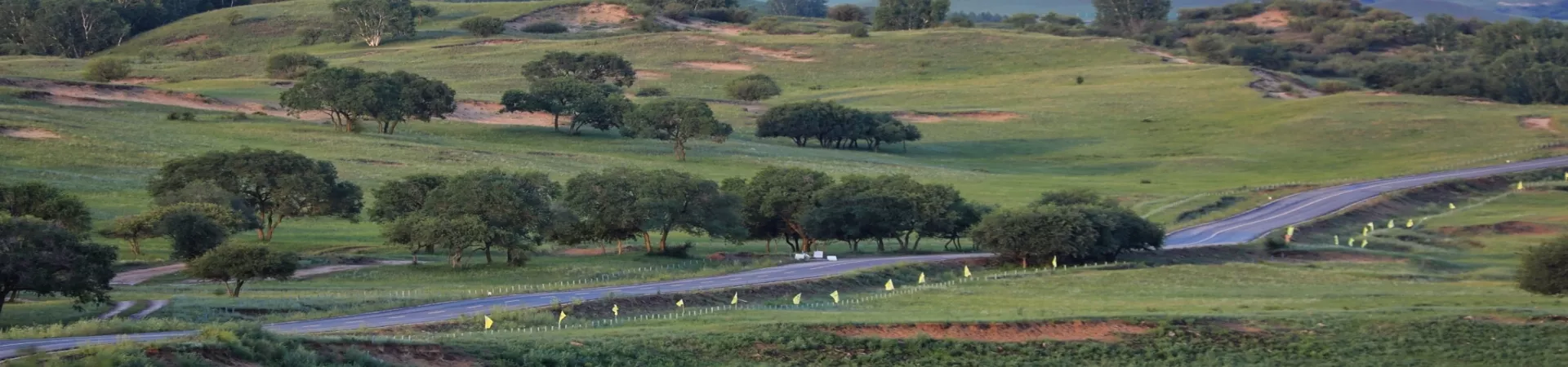 Top China Guide banner