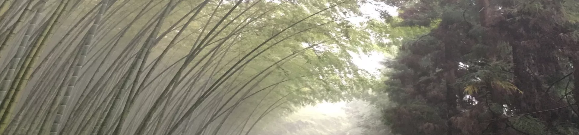 Top China Guide banner