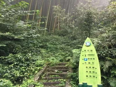 Wufengshan National Forest Park