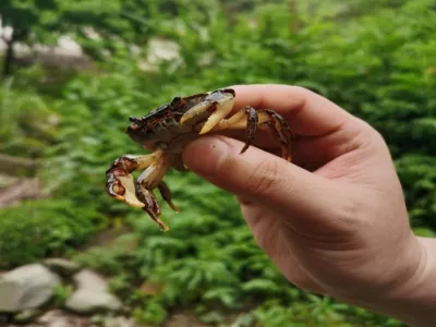 Wujianshan National Forest Park
