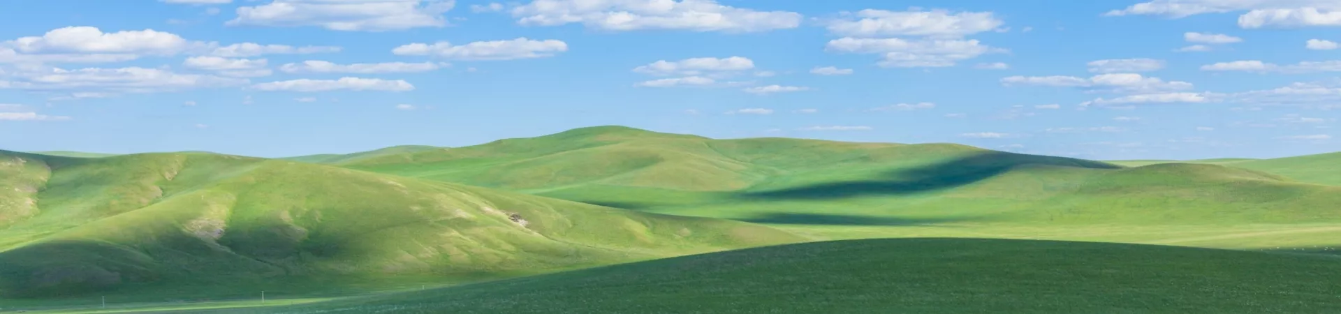 Top China Guide banner