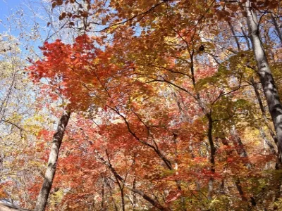 Wunvfeng National Forest Park