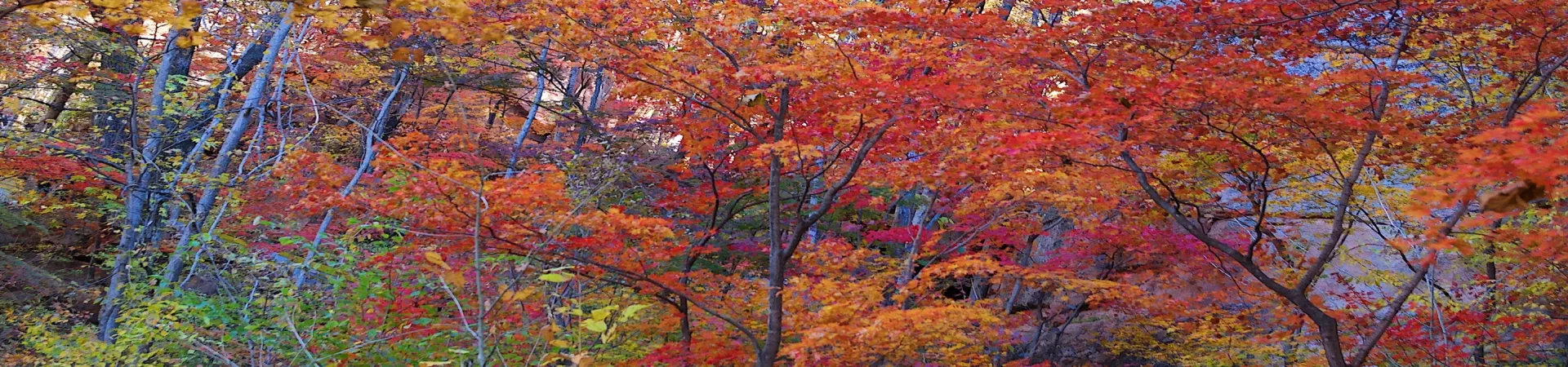 Top China Guide banner