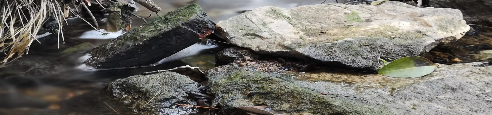 Top China Guide banner