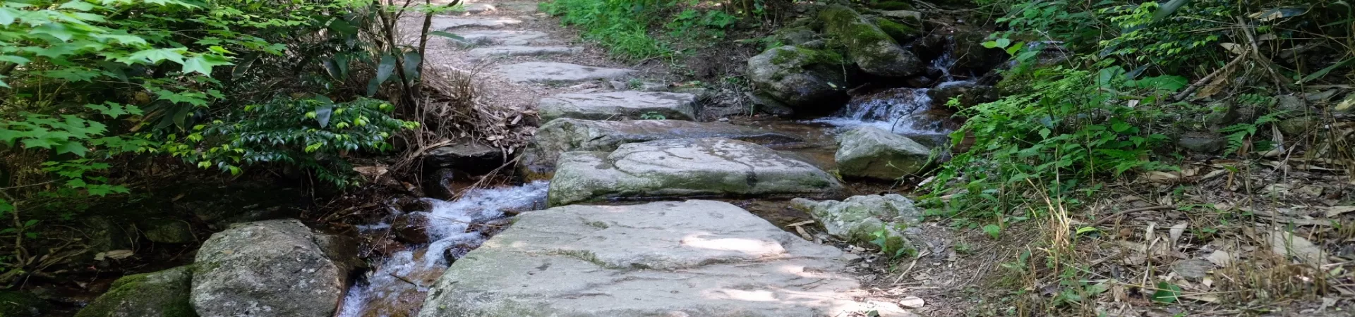 Top China Guide banner