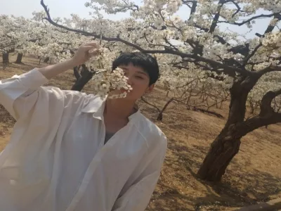 Xiajin Yellow River Old Forest Park