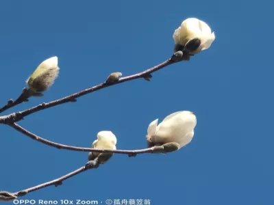 Xiangya Mountain Scenic Area