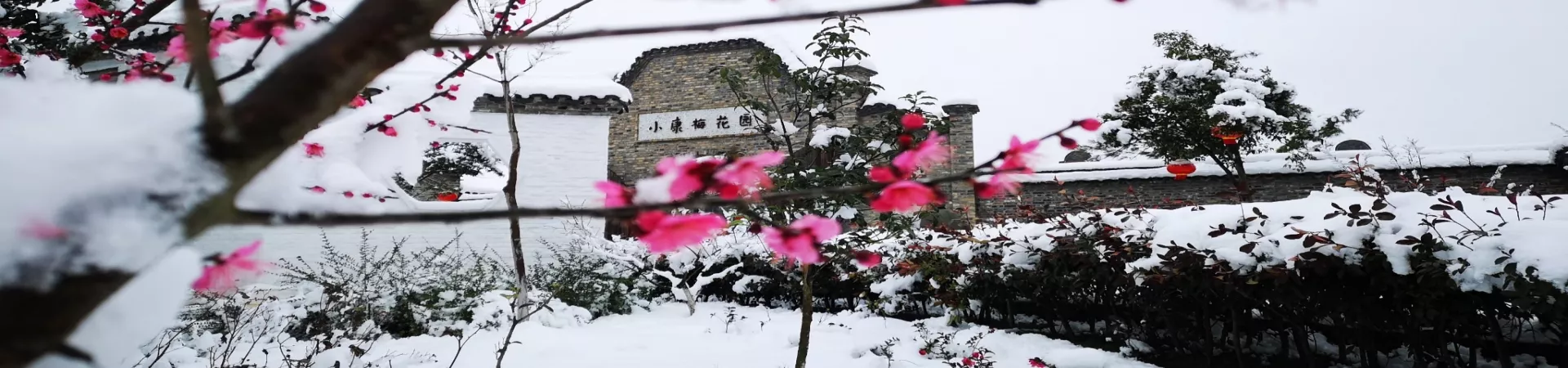 Top China Guide banner