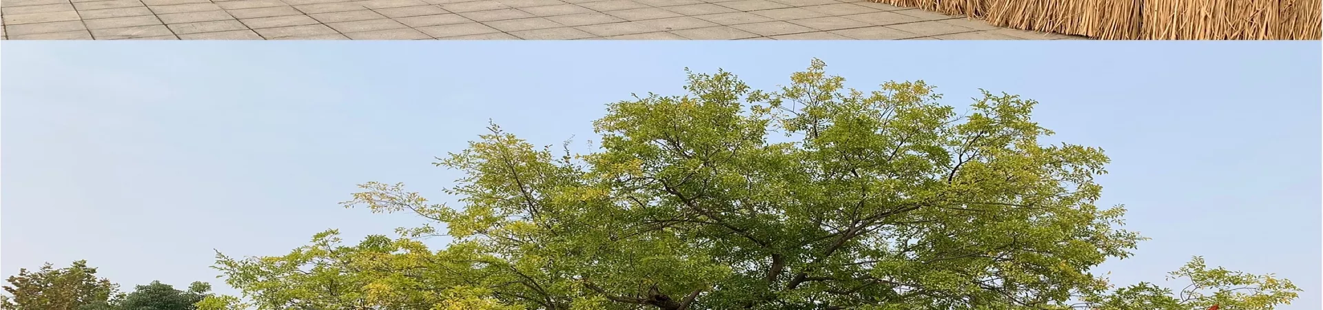 Top China Guide banner