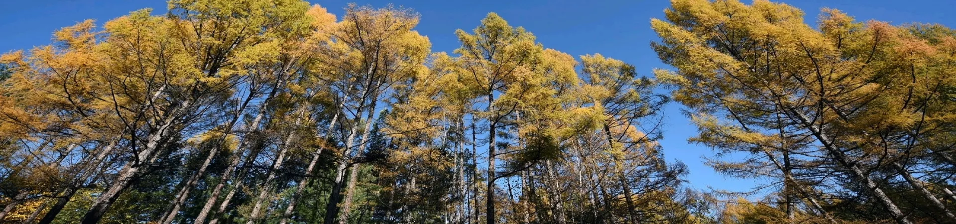 Top China Guide banner