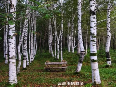 Xiaoxing'anling Botanical Garden