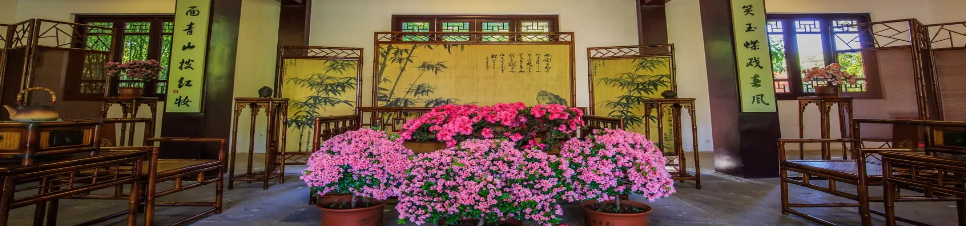 Top China Guide banner