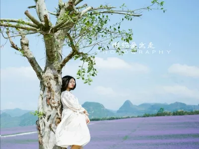 Xincheng Lavender Manor